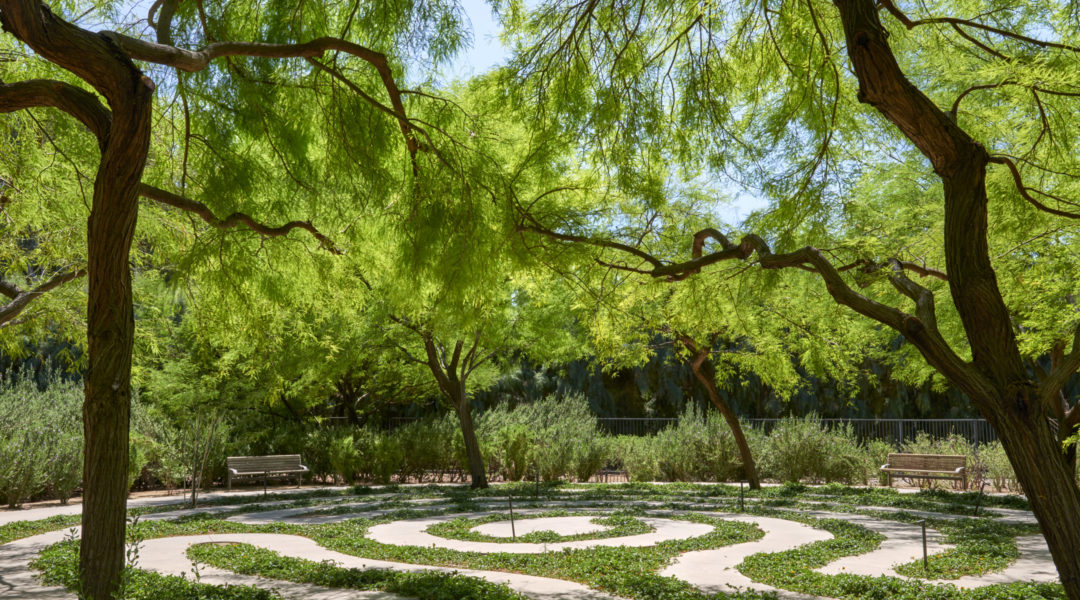 05_Sunnylands_MHarvey_HiRes_0430 05_Sunnylands_MHarvey_HiRes_0430