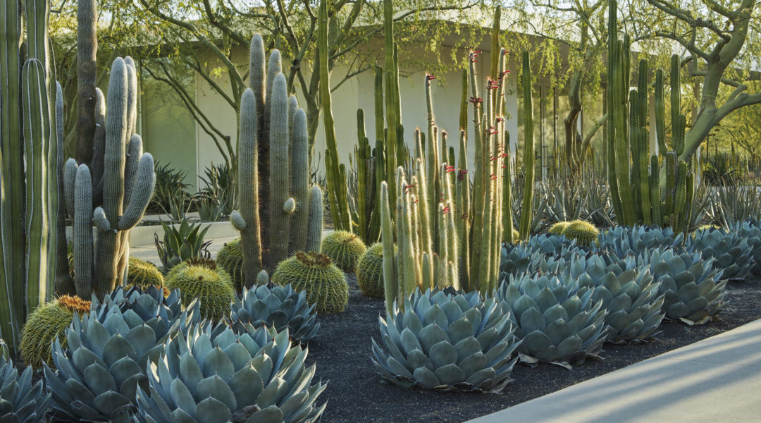 Sunnylands_1903-437 Sunnylands_1903-437