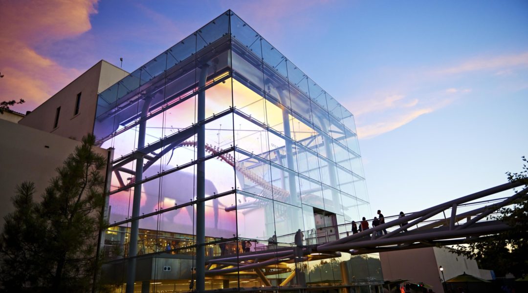 0_Cover_NHM4 - Jane Shim 0_Cover_NHM4 - Jane Shim