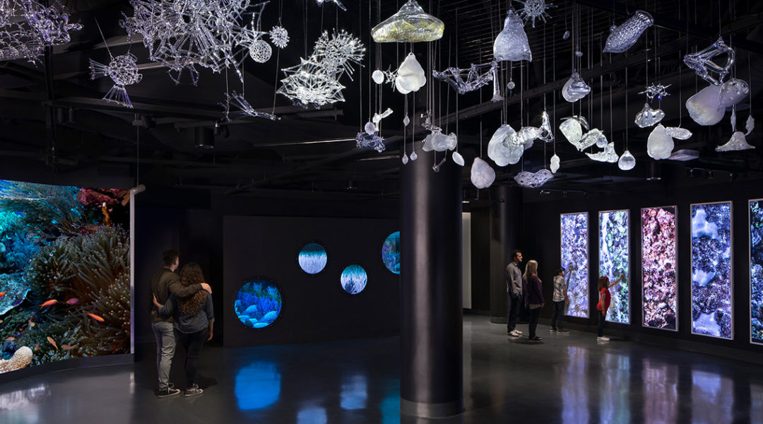 ArtGalleryCreditRequiredTomBonner - Nam Ly ArtGalleryCreditRequiredTomBonner - Nam Ly