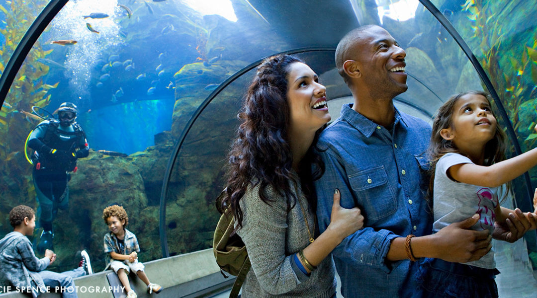 CaliforniaScienceCenter_1 - Taylor Fuller