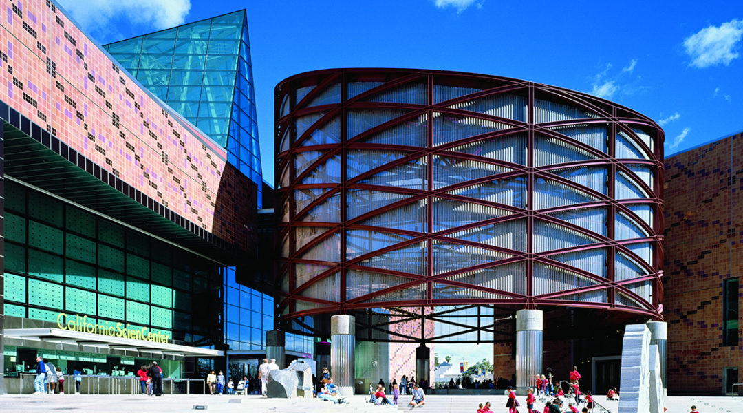 CaliforniaScienceCenter_3 - Taylor Fuller