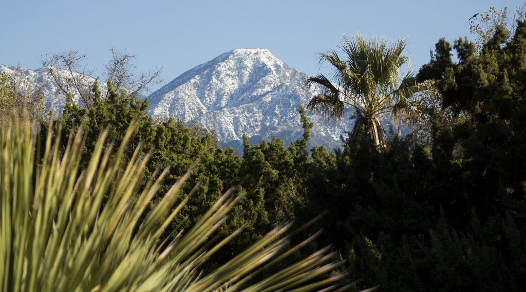 Cover - David Bryant