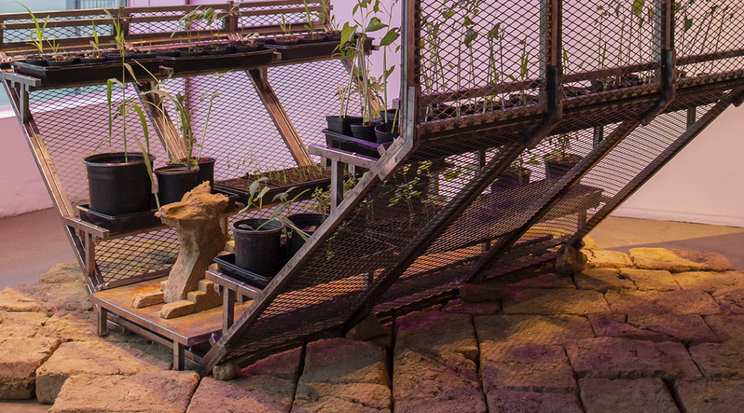 Craft - Rafa Esparza Beatriz Cortez - Nomad 13 - Craft Contemporary