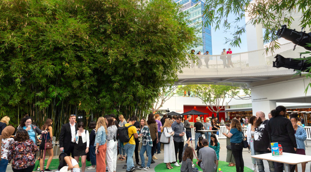 Hammer courtyard, Photo by Sarah M. Golonka - N Lee Hammer courtyard, Photo by Sarah M. Golonka - N Lee