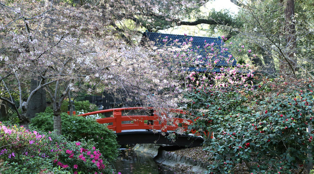 Japanese Garden © Descanso Gardens - Public Relations Japanese Garden © Descanso Gardens - Public Relations