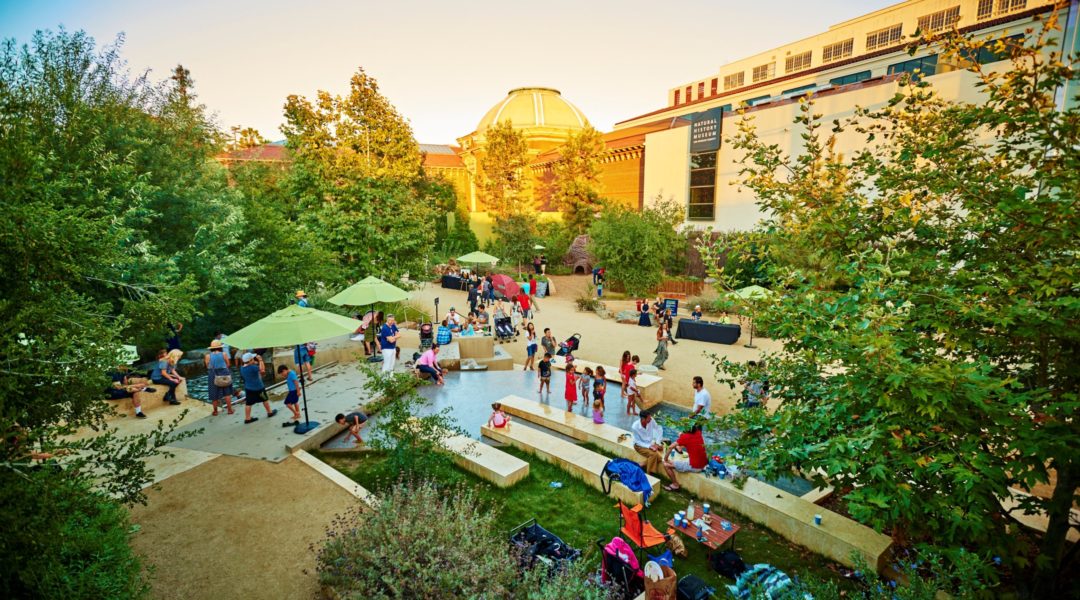 NHM2 - Jane Shim NHM2 - Jane Shim