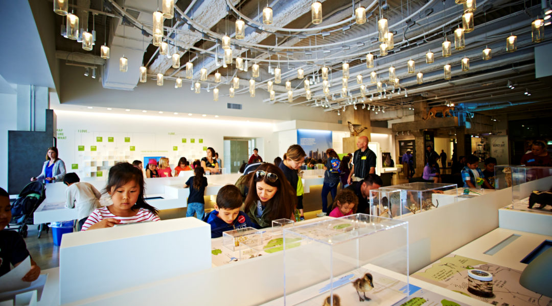 NHM3 - Jane Shim NHM3 - Jane Shim