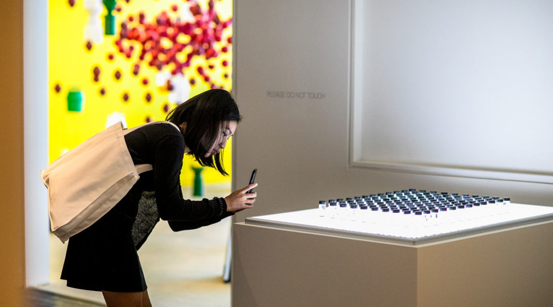 OCMA_IMG_3624 - Sarah Jesse OCMA_IMG_3624 - Sarah Jesse