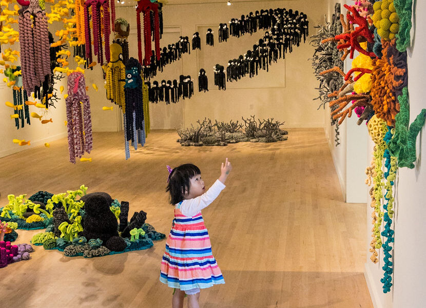 OCMA_IMG_4575 - Sarah Jesse OCMA_IMG_4575 - Sarah Jesse