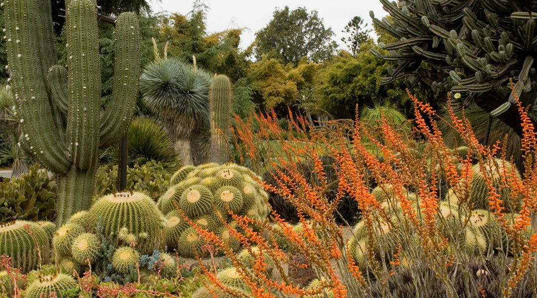 SOCAL12 - Lu Spriggs