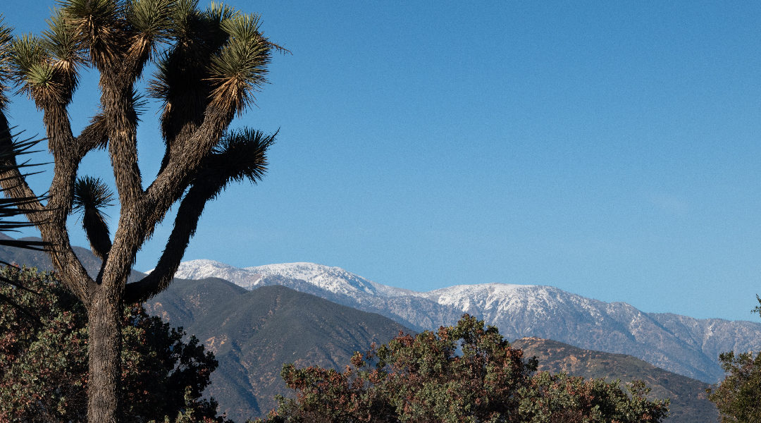 SoCal Museums Images-02 - David Bryant