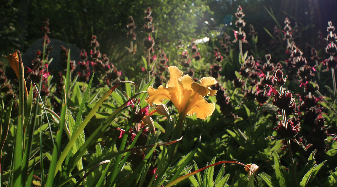 SoCal Museums Images-03 - David Bryant