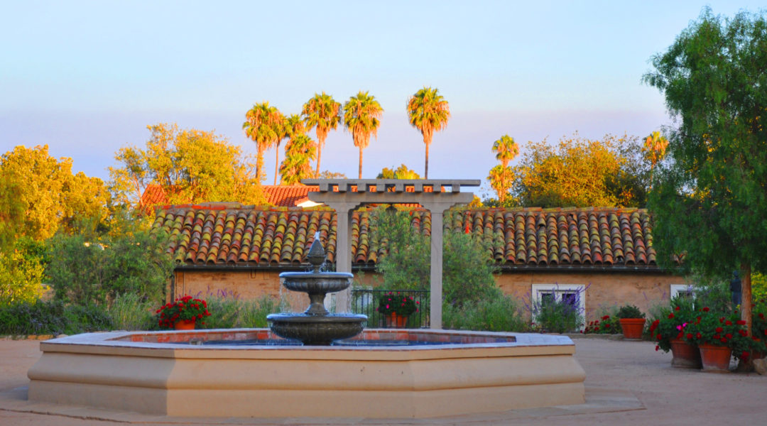 Socal 3 - Dacia Harwood