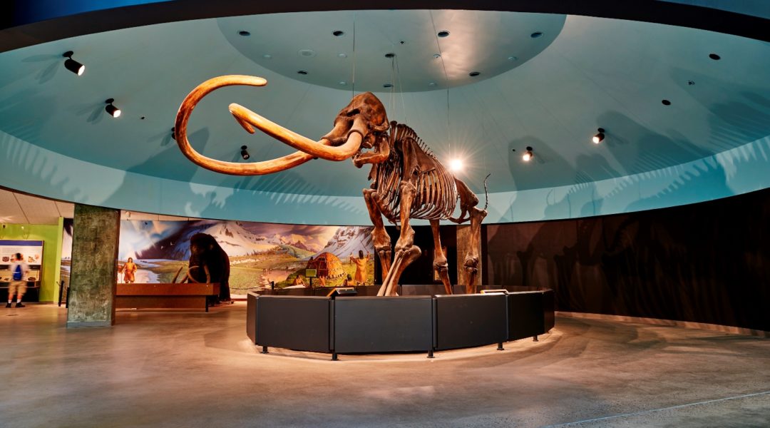 Tar Pits2 - Jane Shim