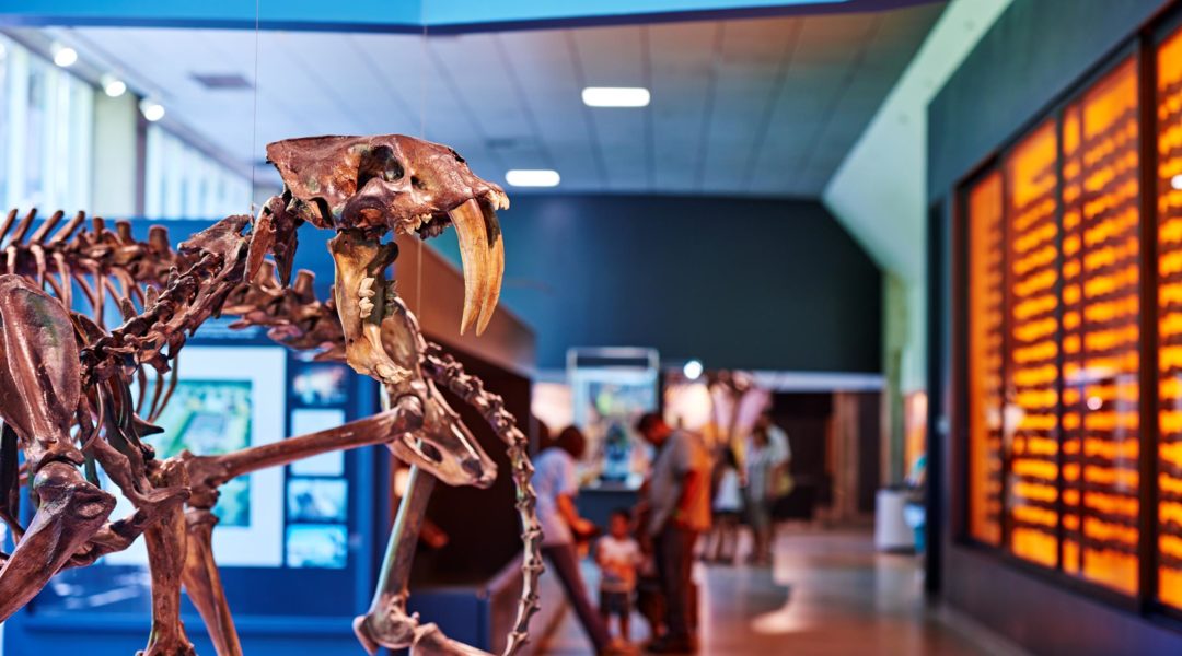 Tar Pits3 - Jane Shim