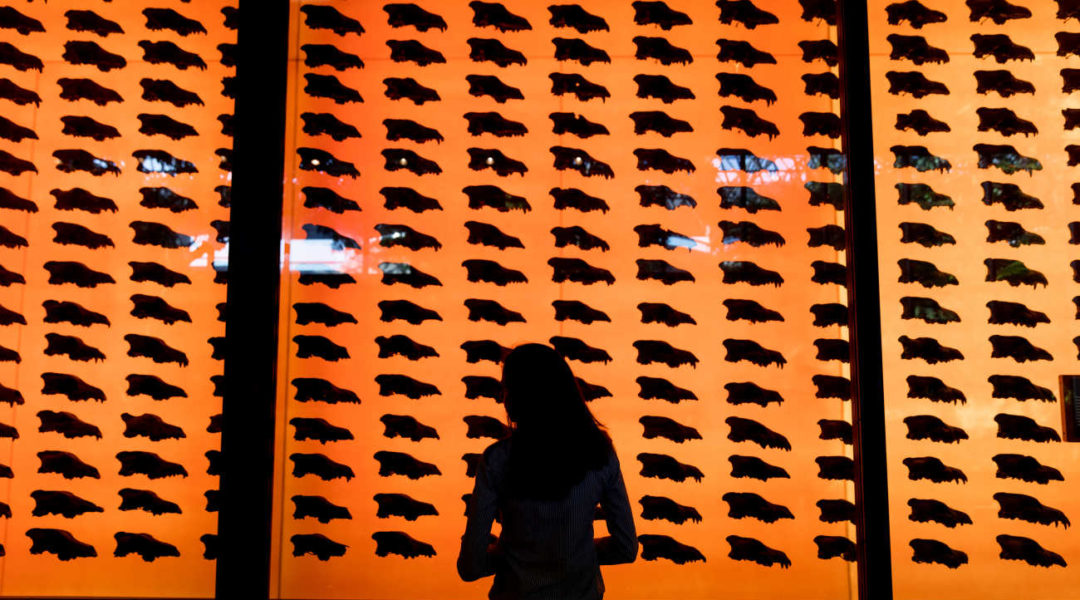 Tar Pits5 - Jane Shim