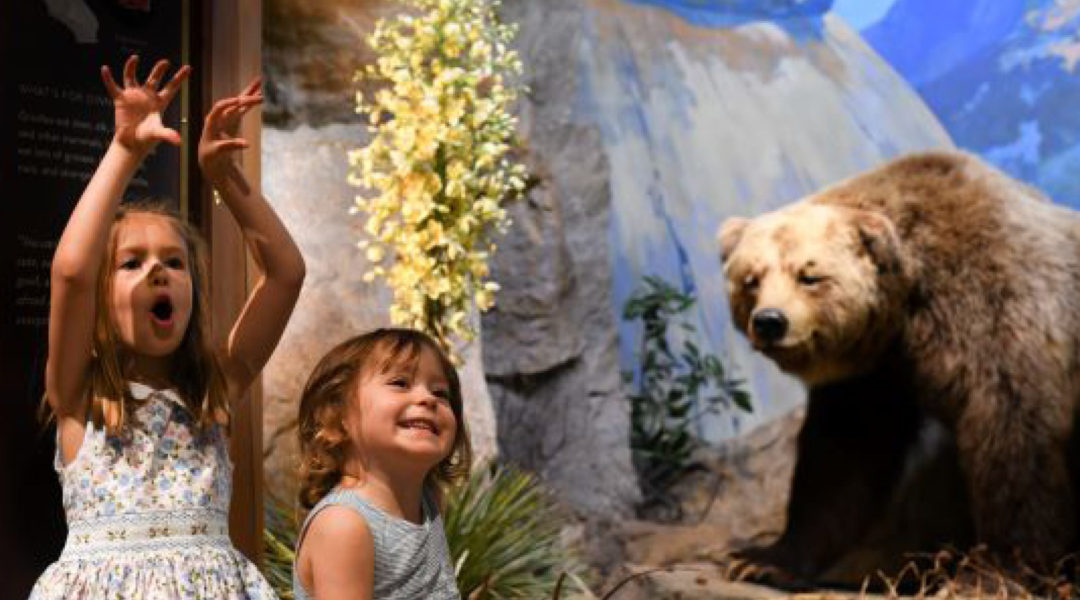 evergreen-museum-1300x6302 - Briana Sapp Tivey evergreen-museum-1300x6302 - Briana Sapp Tivey