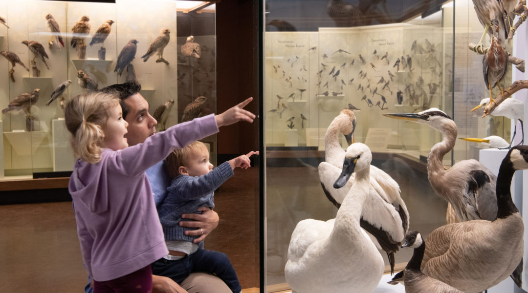 evergreen-museum-1300x6305 - Briana Sapp Tivey evergreen-museum-1300x6305 - Briana Sapp Tivey