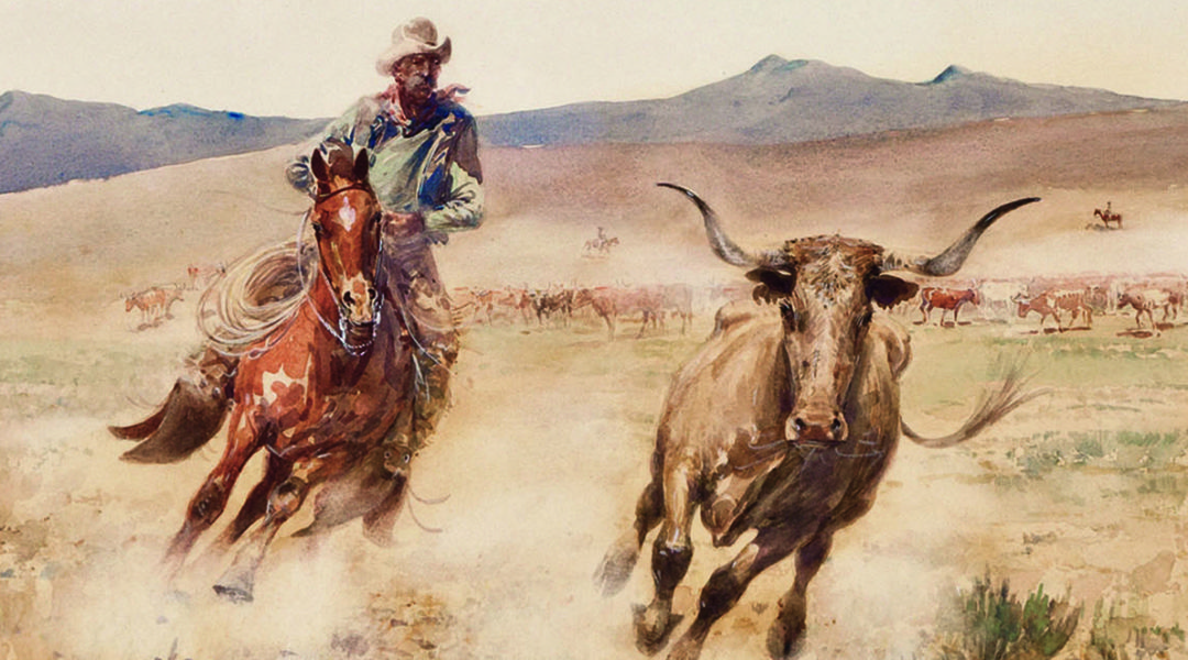 socal 5 - Dacia Harwood