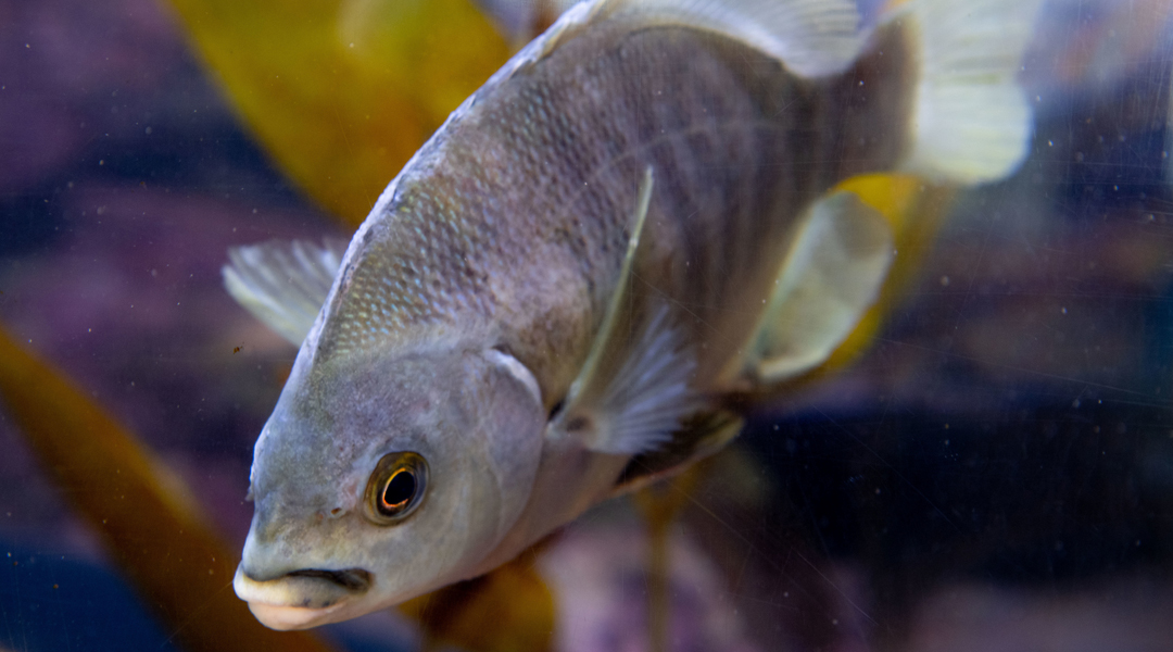 SCM-website-photos-seacenter -2 SCM-website-photos-seacenter -2