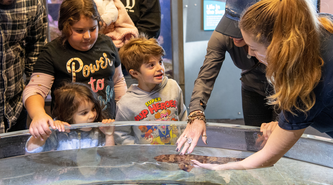 SCM-website-photos-seacenter -3 SCM-website-photos-seacenter -3