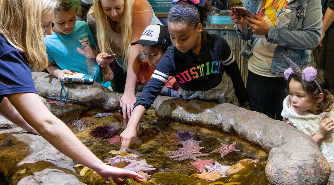 SCM-website-photos-seacenter -4 SCM-website-photos-seacenter -4