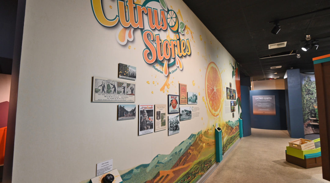 Voices wall - Intro panel Voices wall - Intro panel