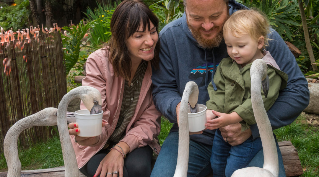 FlamingoMingle 003-Jamie Pham - Sienna Spencer