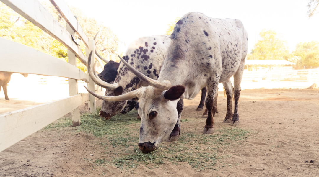 Screen Shot 2022-02-06 at 9.59.40 PM Screen Shot 2022-02-06 at 9.59.40 PM